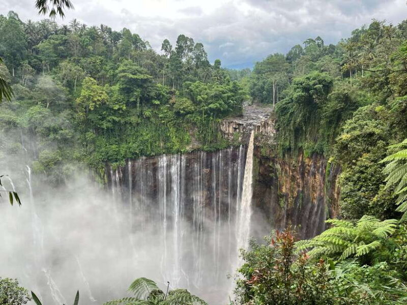 Tumpak Sewu & Rainbow Village: 1 Day Private Tour with Lunch - Value for Money: What’s Included?