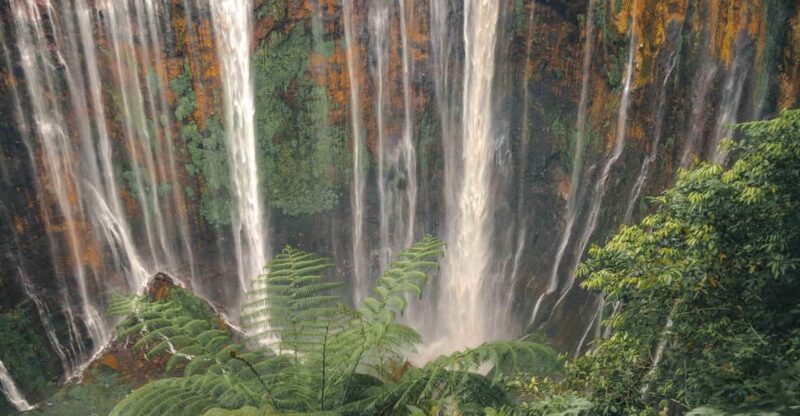 Tumpak Sewu Waterfall, Bromo, Ijen East Java 3D2N - Frequently Asked Questions