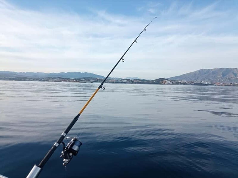 TUNA FISHING TRIPS IN FUENGIROLA - An In-Depth Look at the Fishing Experience
