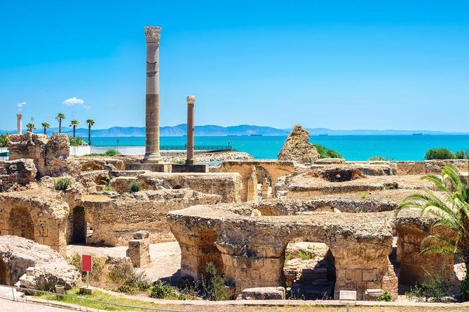 Tunis Group Tour: Carthage, Sidi Bou Said, Bardo Museum & Medina - Inclusions and Accessibility