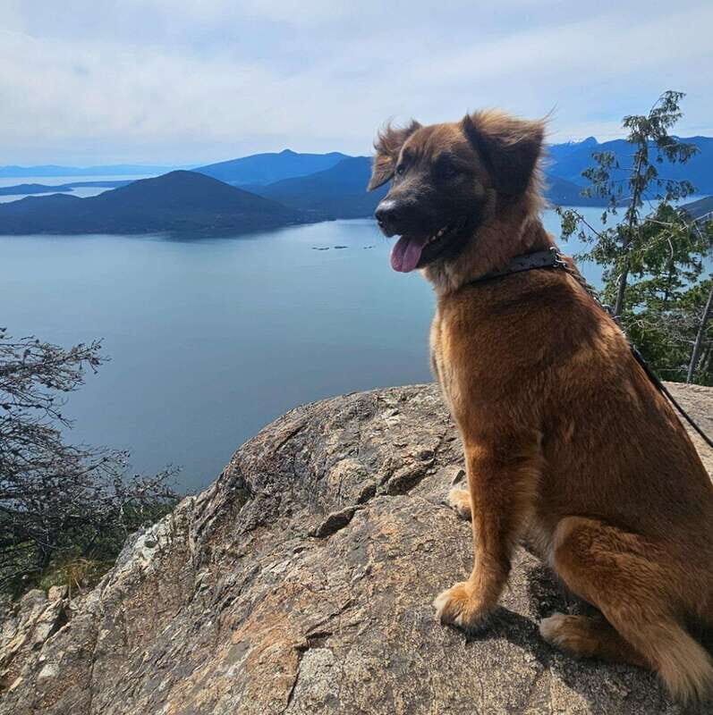 Tunnel Bluffs Hiking Day Trip- Vancouver - Key Points