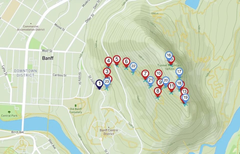 Tunnel Mountain Trail: Nature Tour With Audio Guide - Tour Highlights