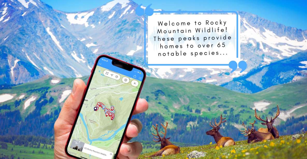 Tunnel Mountain Trail: Nature Tour With Audio Guide - Included Features