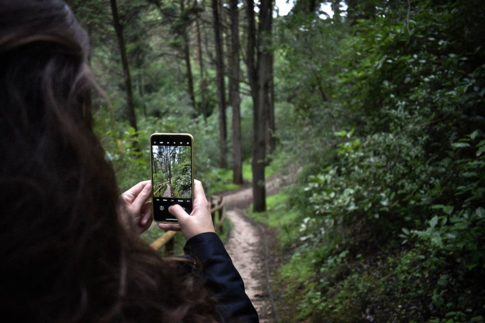 Tunnel Mountain Trail: Nature Tour With Audio Guide - Frequently Asked Questions