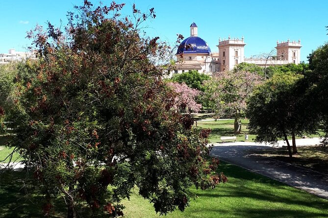 Turia Garden Private E-Scooter Tour  - Valencia - Tour Languages and Ticketing