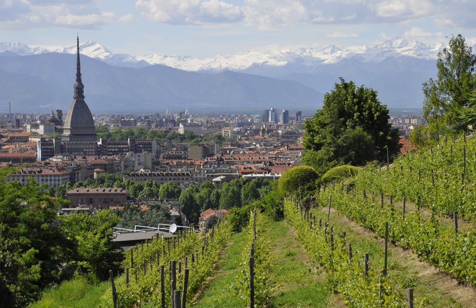 Turin: 2 Hour Guided Walking Tour - Private Group Availability