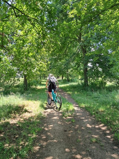 Turin: e-bike tour, Reggia di Venaria, Royal Gardens, Castle - Authentic Feedback from Previous Participants