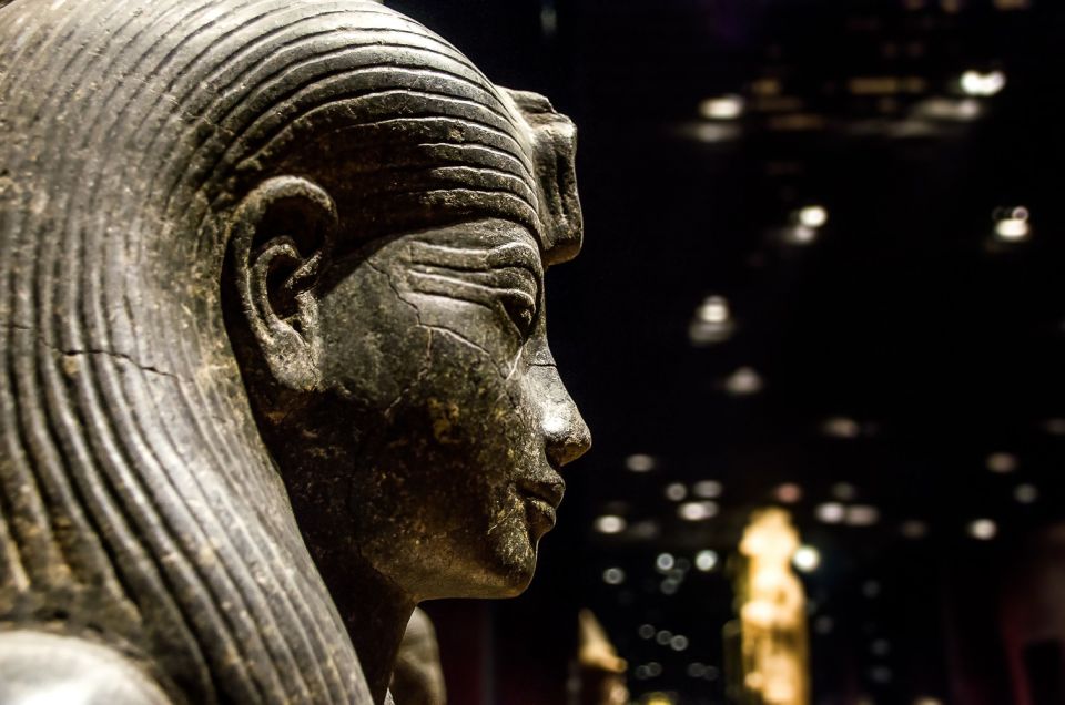 Turin: Egyptian Museum Skip-the-Line Private Guided Tour - Key Points