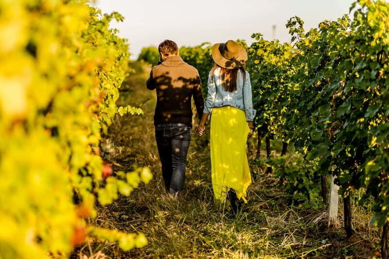 Turin: Langhe Wine Tour with Private Transfers and Lunch - Key Points  