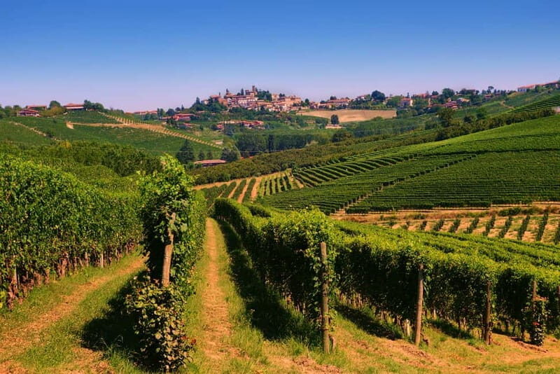 Turin: Langhe Wine Tour with Private Transfers and Lunch - A Detailed Journey Through the Langhe Wine Tour  