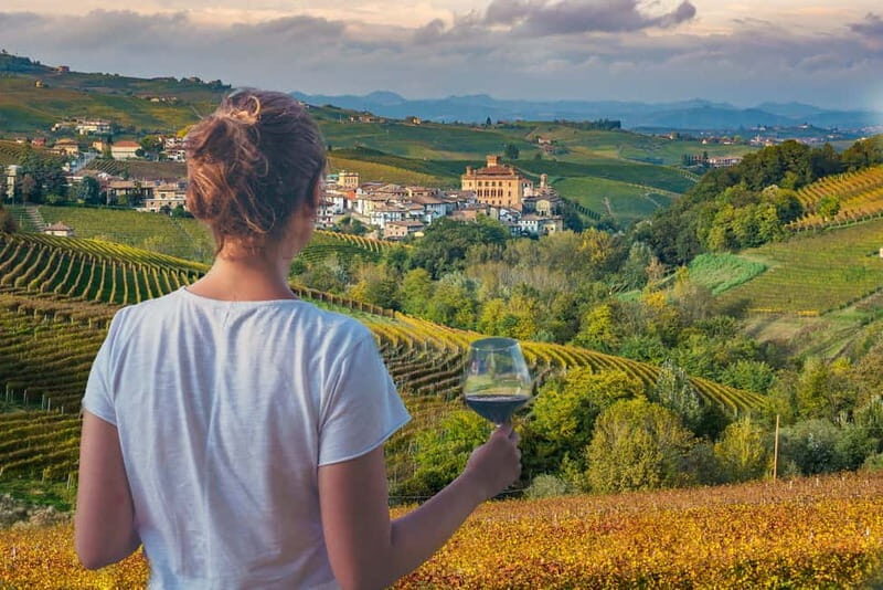 Turin: Langhe Wine Tour with Private Transfers and Lunch - Who Should Consider This Tour?  