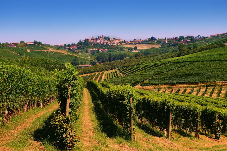 Turin: Langhe Wine Tour With Private Transfers and Lunch - Traditional Piedmontese Lunch