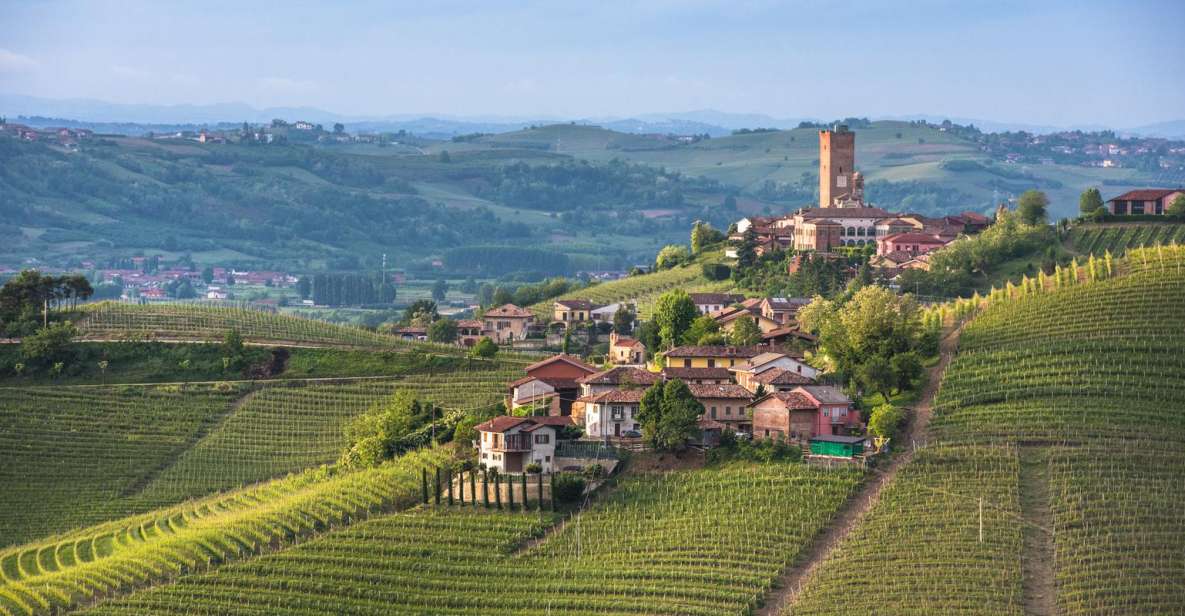 Turin: Private Barolo Wine Region Day Trip With Lunch - Key Points