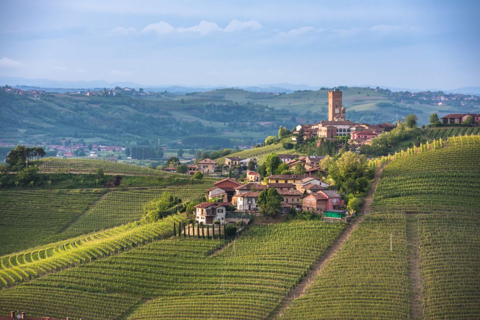 Turin: Private Barolo Wine Region Day Trip With Lunch - Cancellation Policy and Reservation