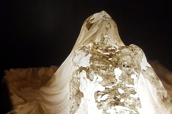 Turin: Private Tour on The Path of The Holy Shroud - Traveler Feedback