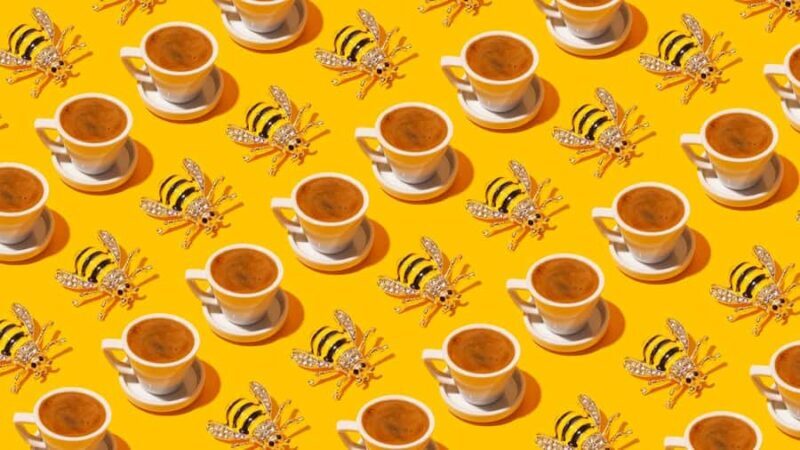 Turkish Coffee Fortune Ceremony - Key Points