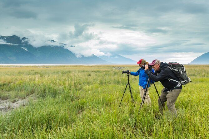 Turnagain Arm Highlights Photo Tour - The Itinerary: What to Expect at Each Stop