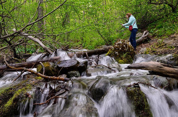 Turnagain Arm Highlights Photo Tour - What’s Included and What’s Not