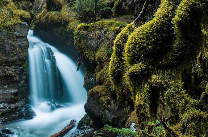 Turnagain Arm Highlights Photo Tour - Value and Practicalities