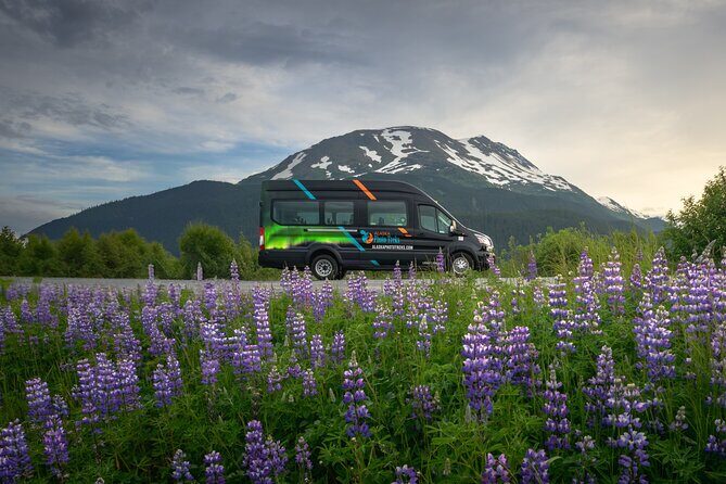 Turnagain Arm Highlights Photo Tour - The Sum Up: Who Will Love This Tour?