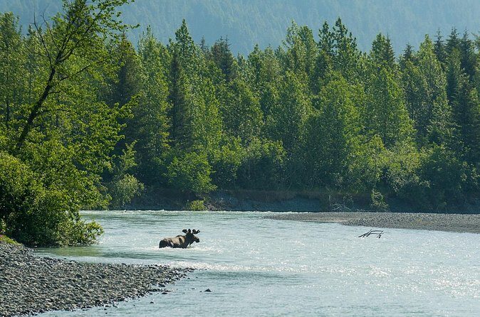 Turnagain Arm Highlights Photo Tour - FAQs