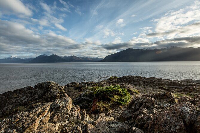 Turnagain Arm Sightseeing Experience and Wildlife Tour - Key Points