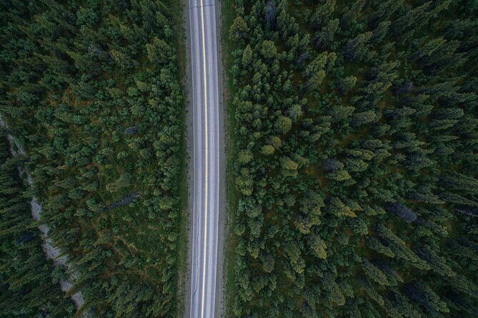 Turnagain Arm Sightseeing Experience and Wildlife Tour - Alaska Wildlife Conservation Center: Wildlife in Focus