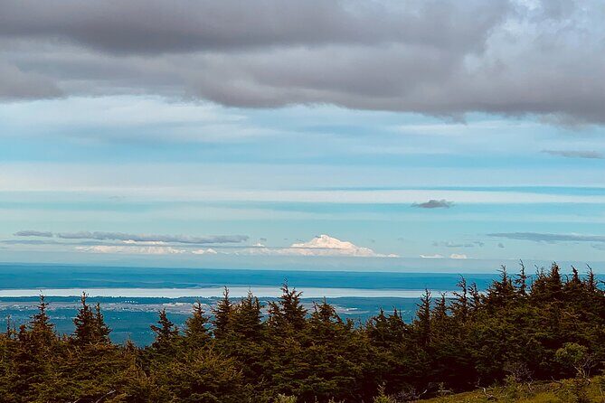 Turnagain Arm Sightseeing Experience and Wildlife Tour - Weather Considerations