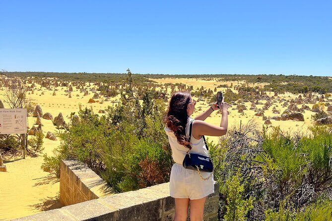 Turquoise Coast and Pinnacles Desert, Lunch Included. - Transportation and Group Size