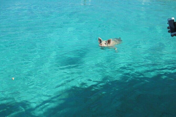 Turquoise Experience -Exuma Cays -Southern Exuma Private Charter - The Experience: What Do Travelers Say?