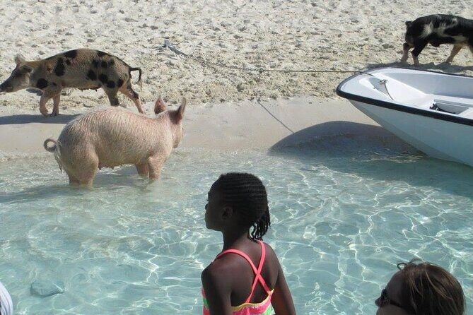 Turquoise Experience -Exuma Cays -Southern Exuma Private Charter - Practical Tips for Booking and Enjoying This Tour