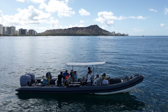 Turtle Canyon Snorkel (Semi Private Boat Tours) - Recap