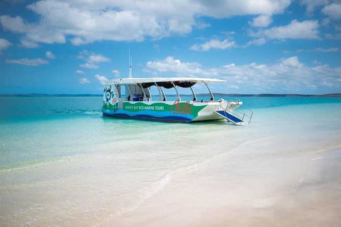 Turtle Discovery & Great Sandy Marine Park Adventure - Inclusions and Exclusions