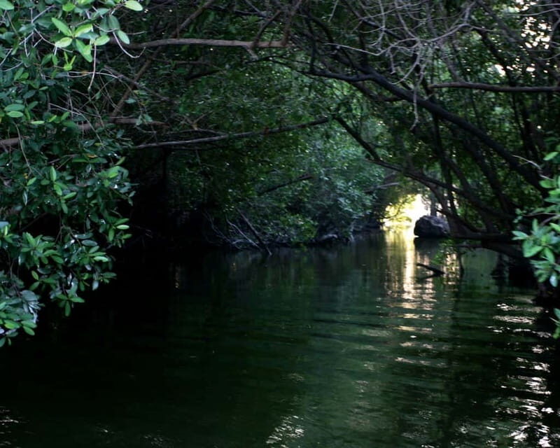 *Turtle Hatching + 3 Palos Lagoon Boat Ride & Crocs Farm - A Deep Dive into the Experience