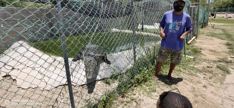 *Turtle Hatching + 3 Palos Lagoon Boat Ride & Crocs Farm - Frequently Asked Questions