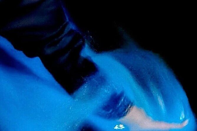 Turtle Release and Bioluminescence - Authentic Experiences and What Travelers Say