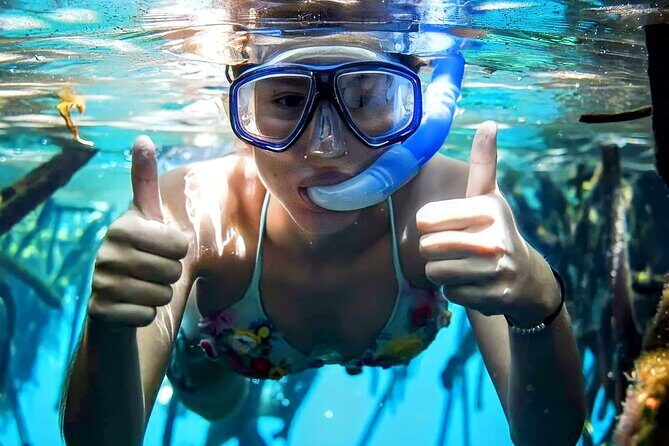 Turtle Sightseeing at Akumal & Underground Caves Tour - FAQ