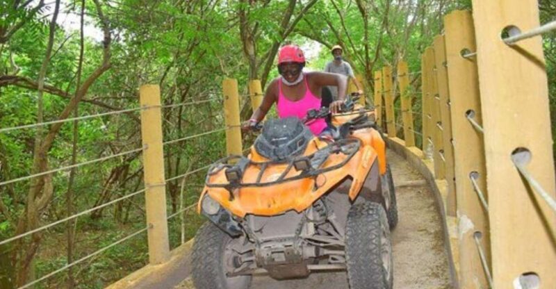 Turtle Snorkel, ATV, Zipline & Cenote: Full-Day Adventure - Who Will Love This Tour?