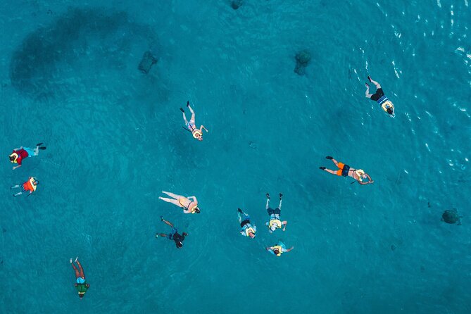 Turtle Snorkeling Adventure in Waikiki (Boat Tour) - Frequently Asked Questions