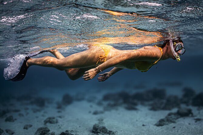 Turtle Snorkeling Aruba: Private Tour with Video - Final Thoughts: Is This the Right Tour for You?