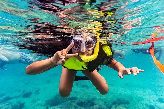 Turtle Snorkeling Tour in Tres Trapi, Aruba - Authentic Experiences and What Guests Say