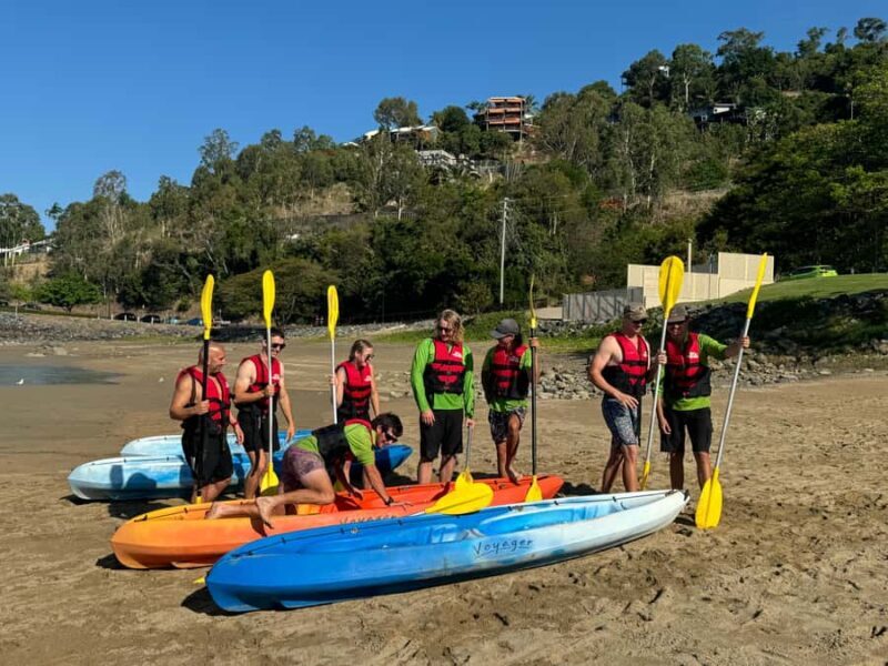 Turtle spotting-Double kayak hire Shingley beach - An In-Depth Look at the Kayaking Experience at Shingley Beach