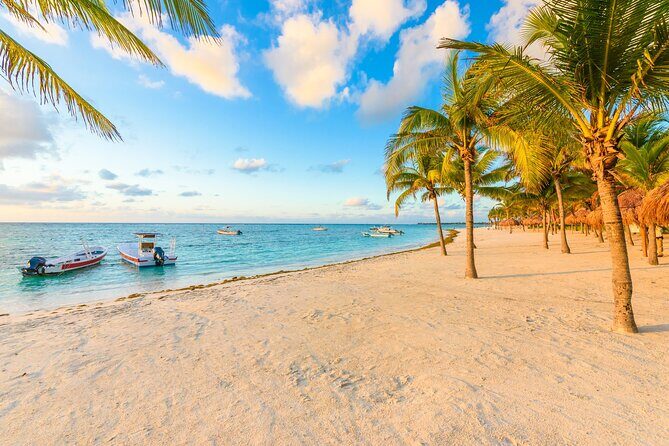 Turtle Swim, Lunch and Underground Cenote Private Tour - The Experience: A Closer Look at the Itinerary