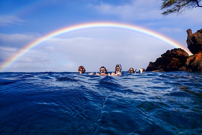 Turtle Town Clear Kayak & Snorkel Tour (11am-1pm) - Frequently Asked Questions