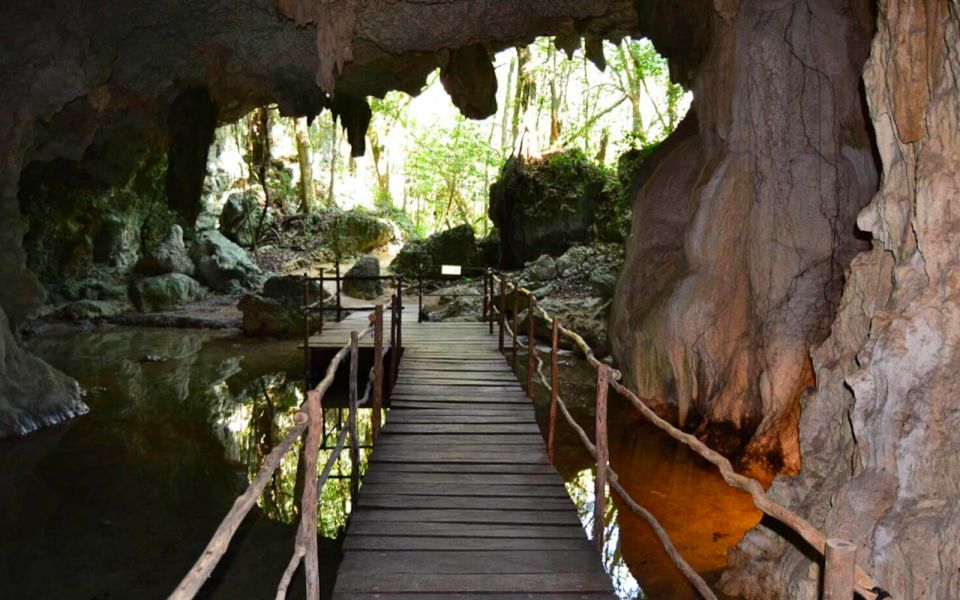 Turtles and Cenotes Tour - Snorkeling in Cenotes