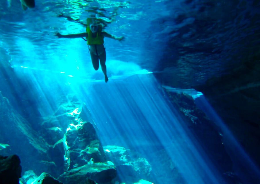 Turtles and Cenotes Tour - Frequently Asked Questions