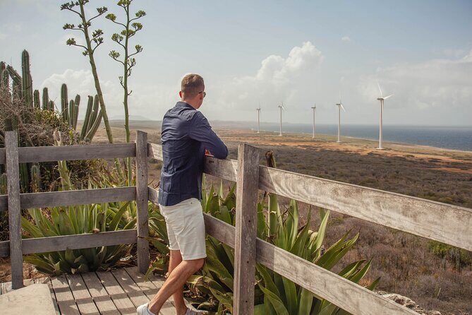 Turtles, Beach and Flamingo in Curacao Private photoshoot Tour - An In-Depth Look at the Tour Experience