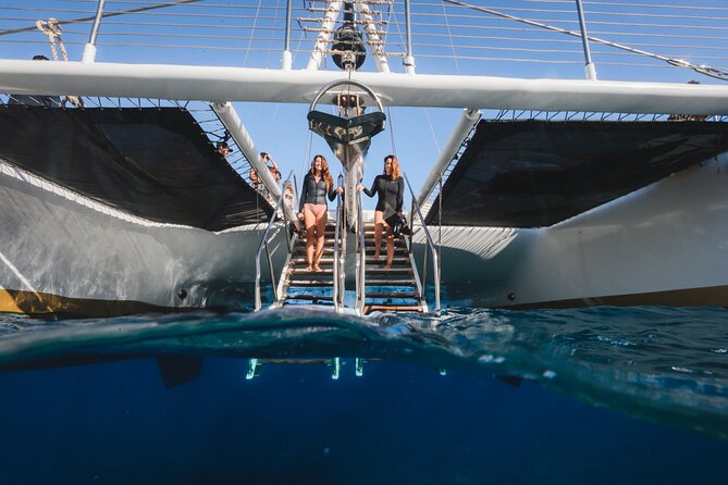 Turtles & Tacos Luxury Catamaran Snorkel - Cancellation and Refund Policy