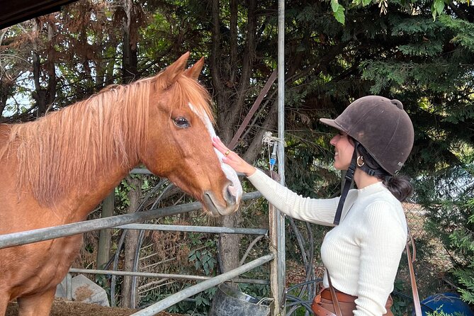 Tuscan Chianti Hills Horseback Riding Tour - Good To Know