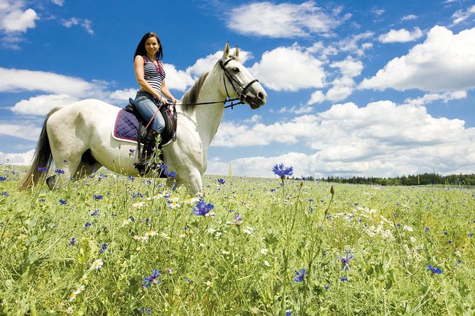 Tuscan Chianti Hills Horseback Riding Tour - Transportation and Logistics